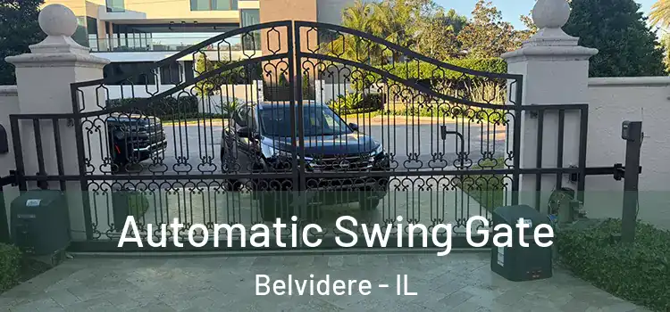 Automatic Swing Gate Belvidere - IL