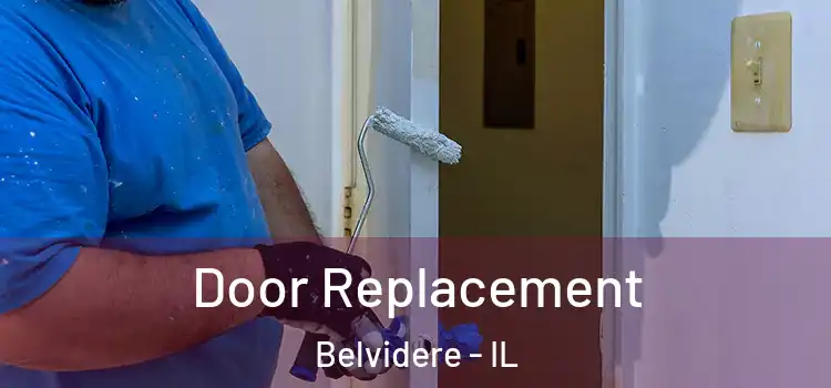 Door Replacement Belvidere - IL