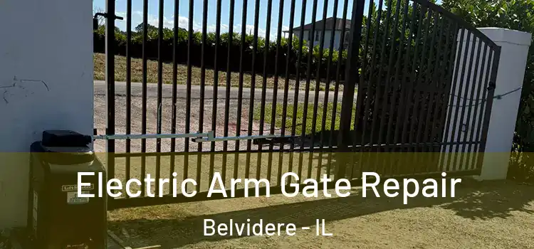 Electric Arm Gate Repair Belvidere - IL