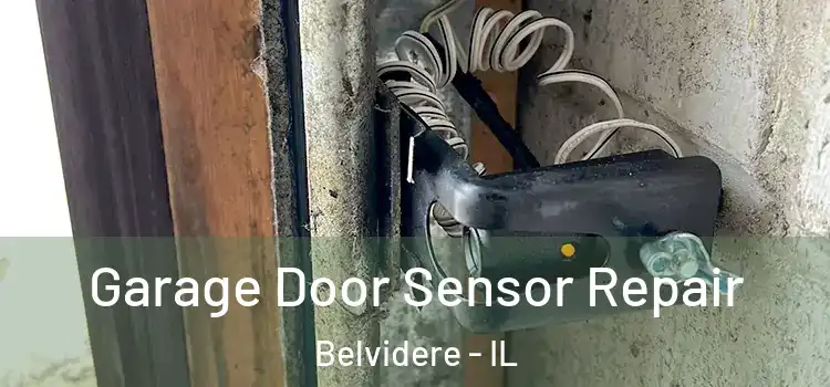 Garage Door Sensor Repair Belvidere - IL