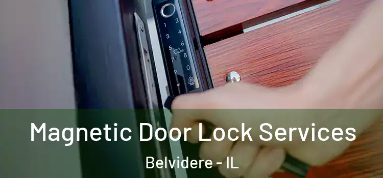Magnetic Door Lock Services Belvidere - IL