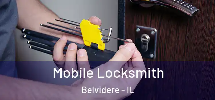 Mobile Locksmith Belvidere - IL
