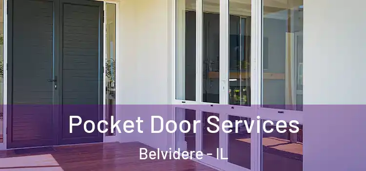 Pocket Door Services Belvidere - IL